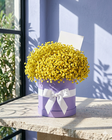 Yellow Baby Breath Cheerful Flower Box