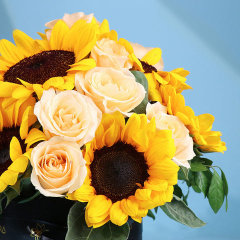 Blooms Wrapped in the Golden Hues of Sunrise