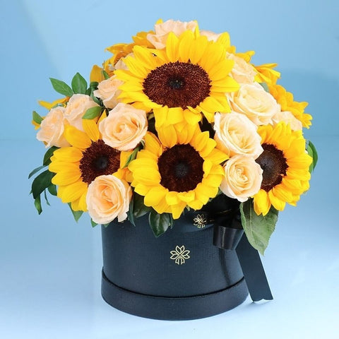 Blooms Wrapped in the Golden Hues of Sunrise
