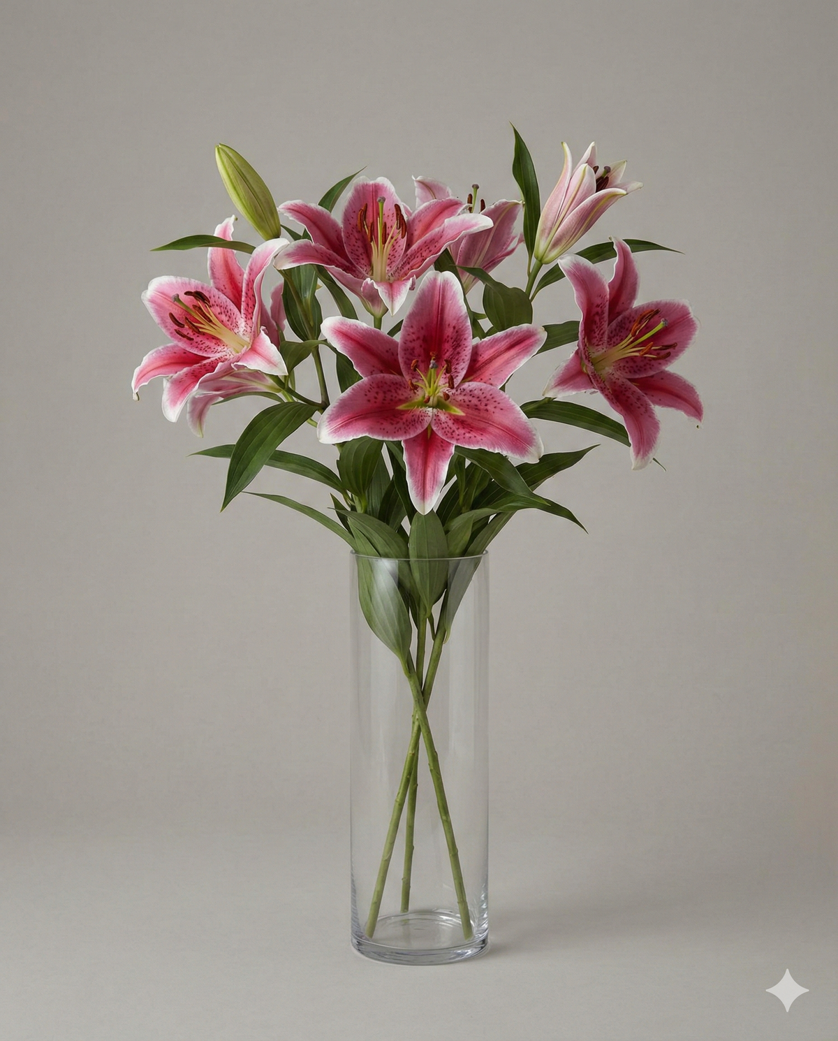 Radiant Pink Stargazer Lilies - Lily Bouquet in Vase