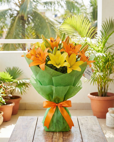 Vibrant Asiatic Lily Bouquet for Birthdays