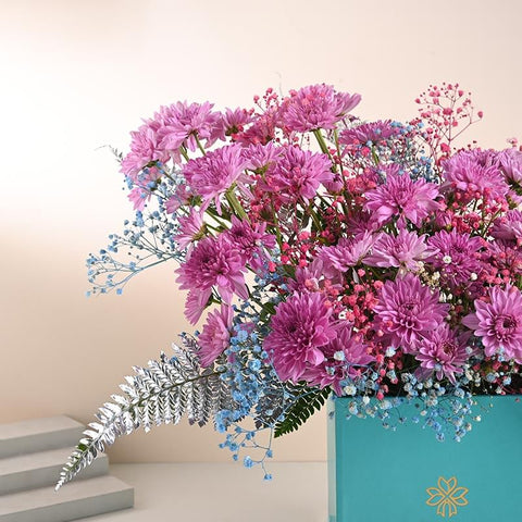 Whimsical Reverie in a Field of Purple Daisies